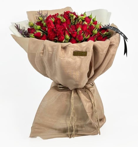 البيبي جوري الأحمر | تغليف قماش مخمل