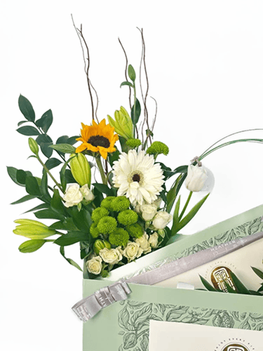 شوكولاته شوكواتل | فرينوس بلومايد | عيد مبارك