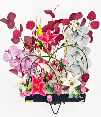 وودن وندر ويلز