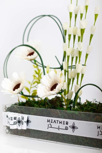 ستاند إيفوريا