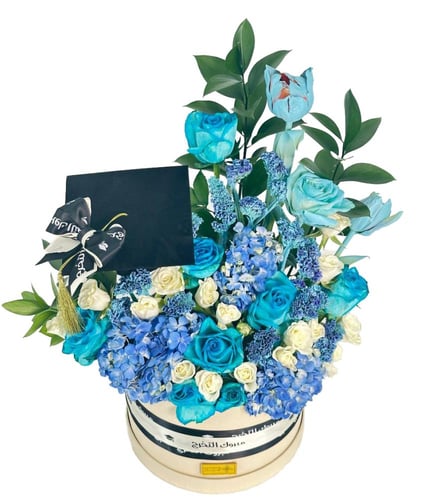 بوكس فلوريوس ماجنيفيكا