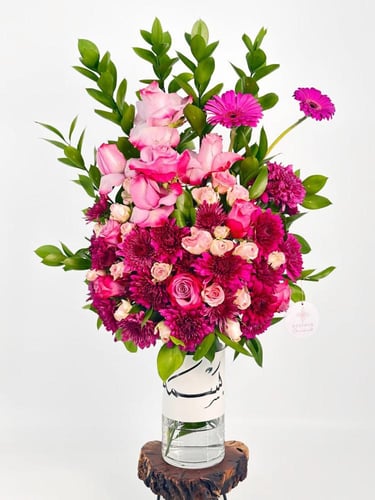 فازة فُوْشِيَ فِيْجِوْن