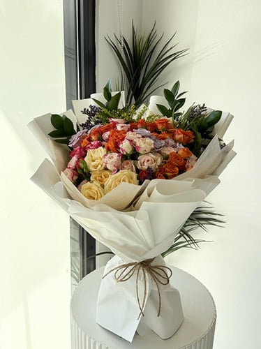 باقة دانس أوف فايبرانت كولرز