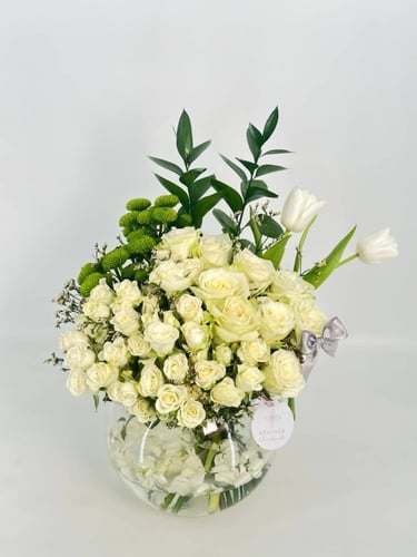 فازة إليكترا بليس