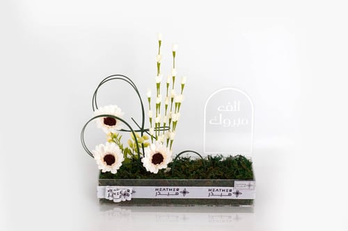 ستاند إيفوريا