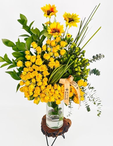 فازةأوكاليبتوس إكسبلور