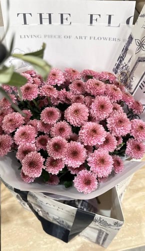 كولكشن Heather بوتوم بيوتي