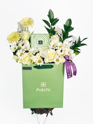 شوكلاتة باتشي | بلانكا دريم