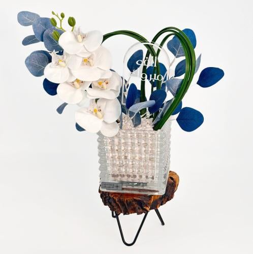 فازة فورست فانتازيا