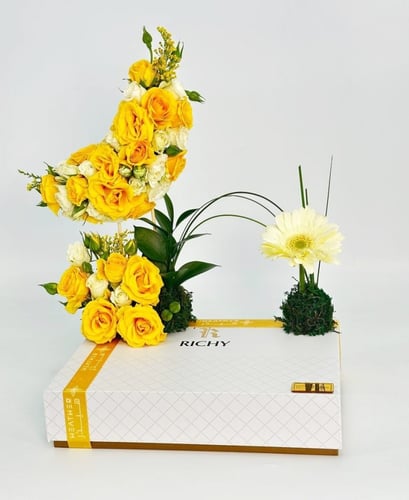 قماش ريتشي 619 | فلوميتشيوس بريزنتو