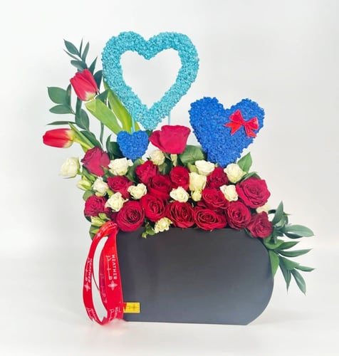 فازة زينوفيا نوكتورنا