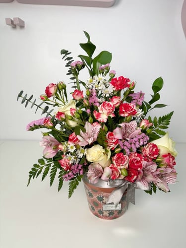 فازة نيكسيل راديانس