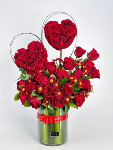 فازة كورال هارت