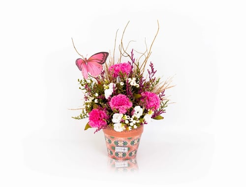 مارموريا فلوراليس