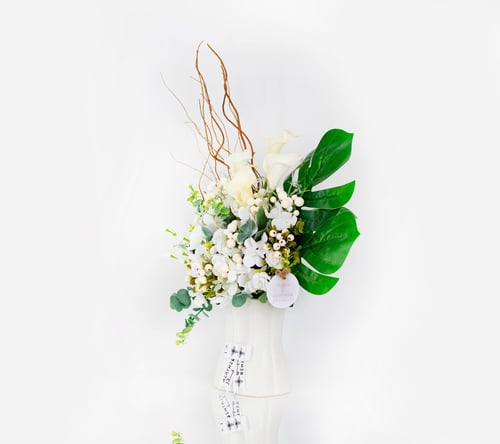 فازة ألبيونا