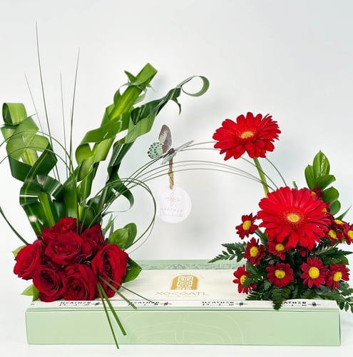 ماجيك بوكس من شوكواتل | باقة فرفنت دارسينا