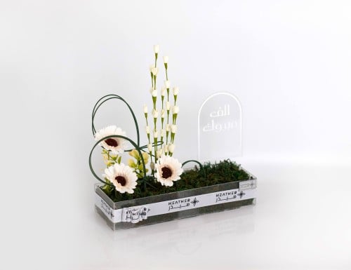 ستاند إيفوريا