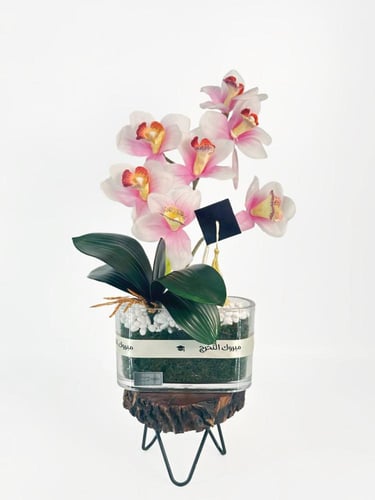 فازة إيفورا مع قبعة التخرج