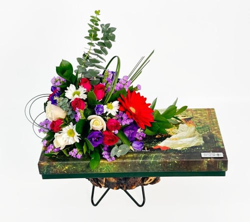 شوكو براوني كلوفر | استوما إكسبلوزن