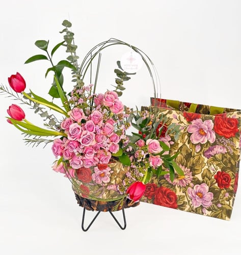 شوكولاته هنوفيرين | توليب تريجر تريت