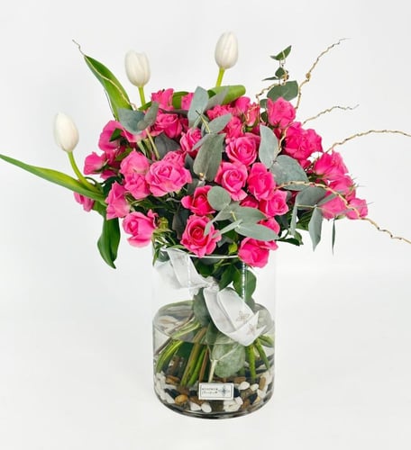 فازة ديليشا