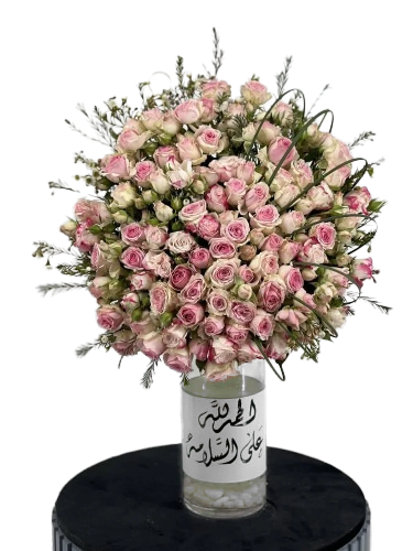 فازة الحمدلله عالسلامة| بيبي روز