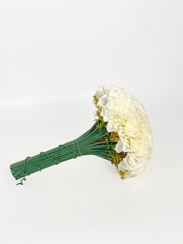 فراشة الزهور | مسكة العروس