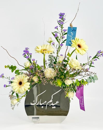 بوكس فولكريس