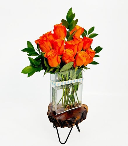 فازة الكتاب | أورانج ايليجي