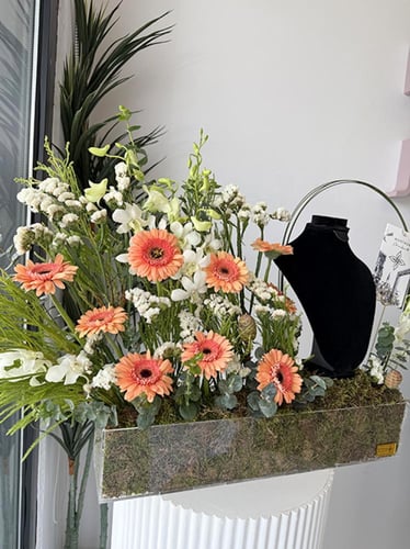 تنسيق قلادة | ألتيمت إليغانس جلو