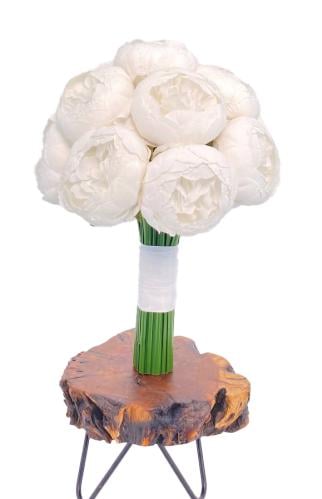 بيونيا | مسكة العروس