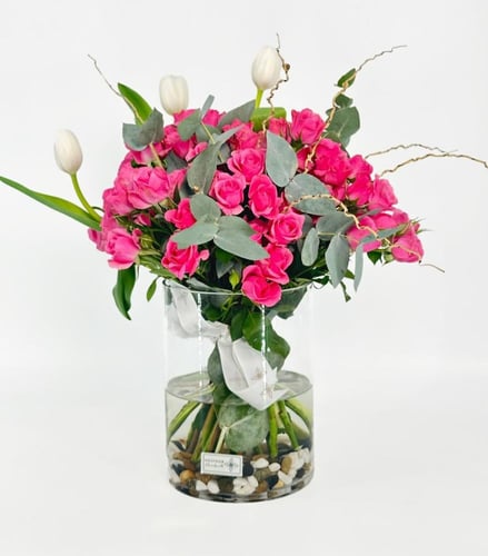 فازة ديليشا