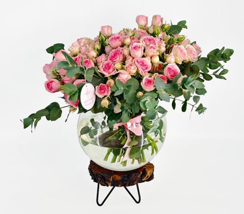 فازة غراسيز أوف نايتشر