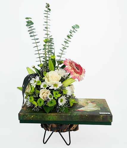 شوكو براوني كلوفر | كريز كوتور