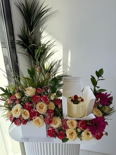 كيك كانديرا | تاتش أوف ناتشر آند ديلايت