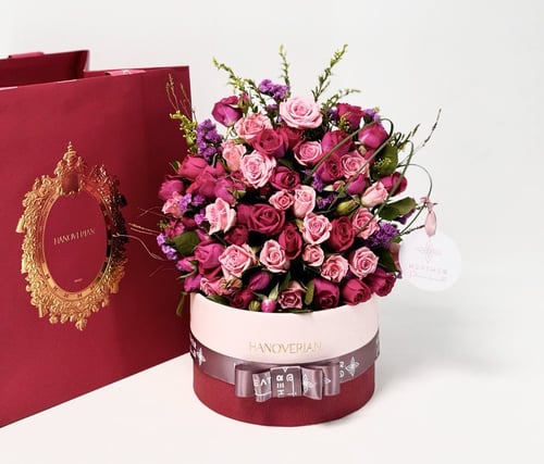 شوكولاته هنوفيرين | فيولاكسا نوكتورنا