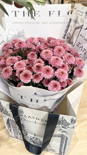 كولكشن Heather بوتوم بيوتي