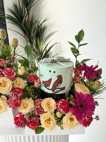 شوكولاته أنوش | أوف فايبرانت كولرز آند فليبرز