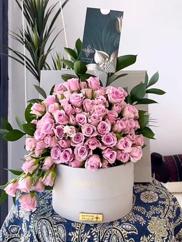 شوكلاتة هنوفيرين | لديلت فوشيا