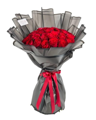 باقة ألفايرا نوكتورنا