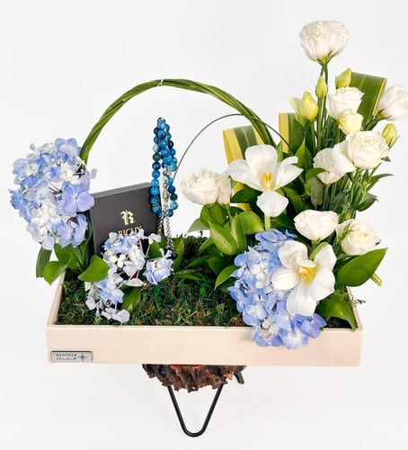 سبحة العقيق من ريتشي | وندرلاند ويسدوم