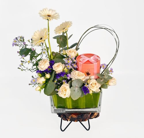 شوكولاته انوش | جوري جالاكسي جراسي