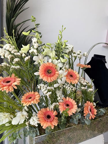 تنسيق قلادة | ألتيمت إليغانس جلو