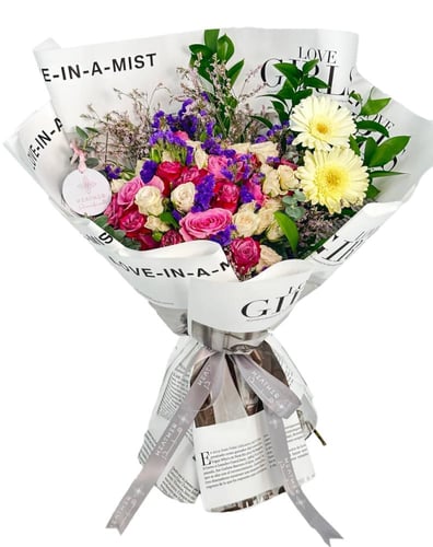 باقة بالم سبلاش