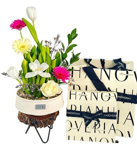 شوكولاته هنوفيرين | فازة سيرين سيركل