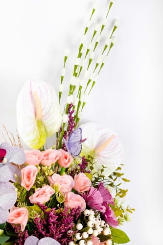 فازة أوبسيديانا السوداء