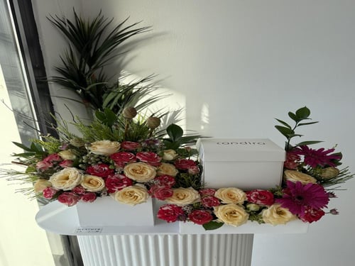 كيك كانديرا | تاتش أوف ناتشر آند ديلايت