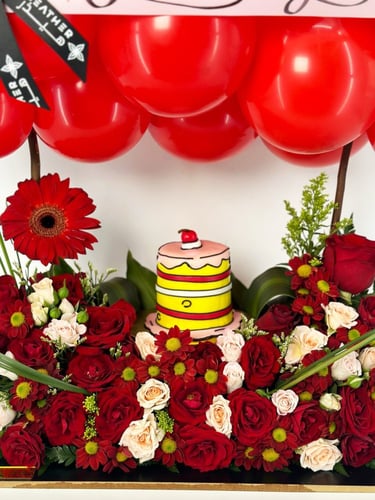 كيك تراينجل الدائرية | جلبيرا فلوريسا