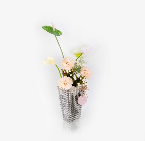 فازة كوراليا المتموجة