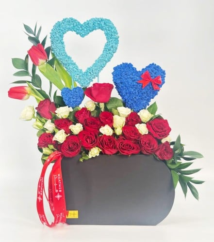 فازة زينوفيا نوكتورنا